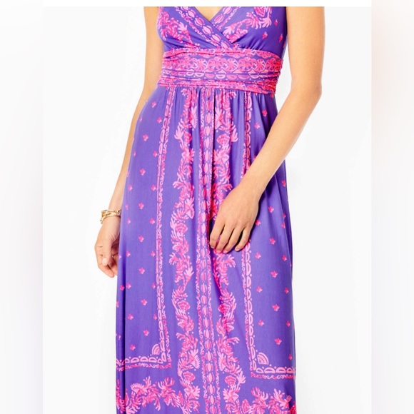 NWT Lilly Pulitzer Margarita Maxi Dress - Picture 6 of 10